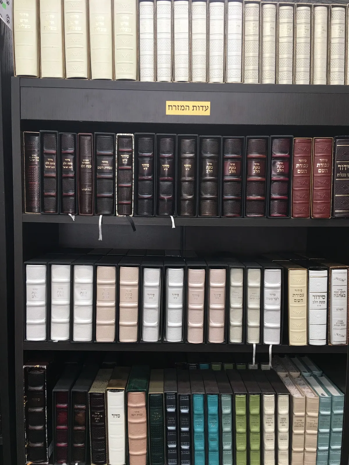 Mercaz Hasefer — photo 4