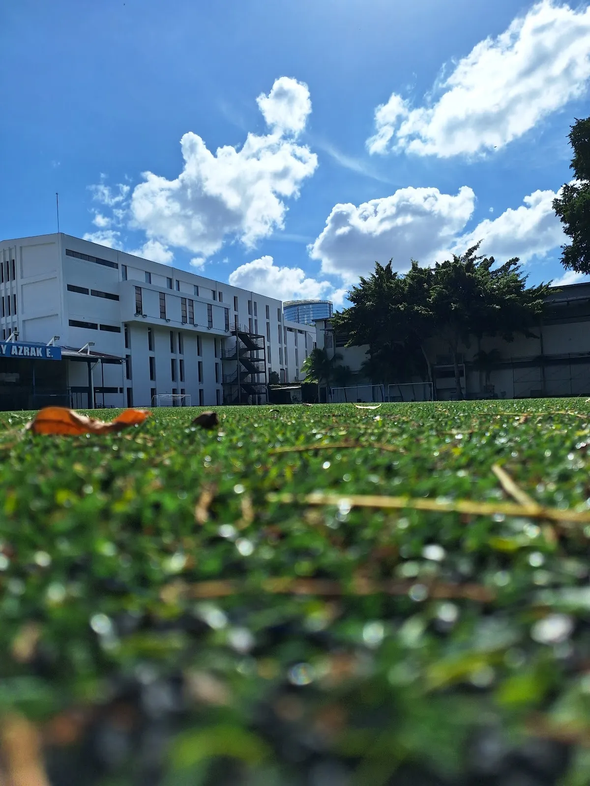 Academia Hebrea de Panamá — foto 3