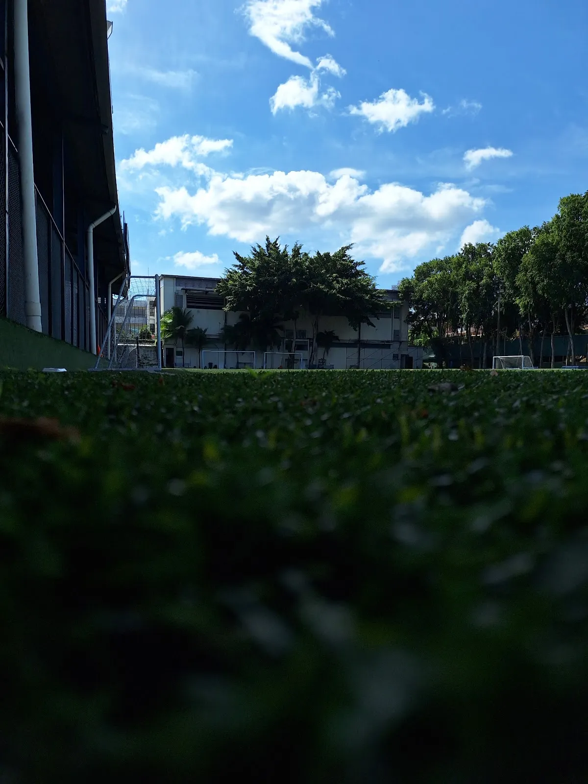 Academia Hebrea de Panamá — foto 4