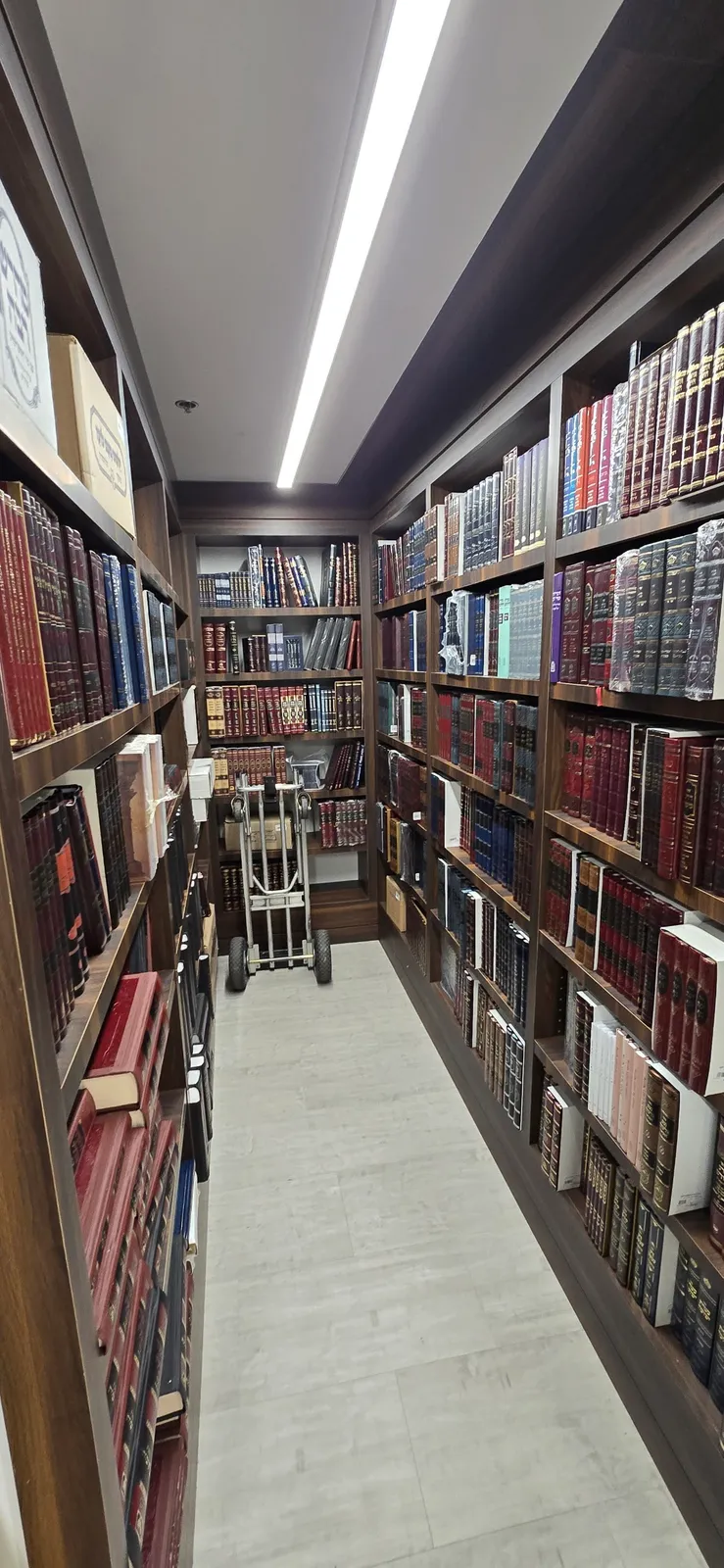 Alef Judaica — photo 4