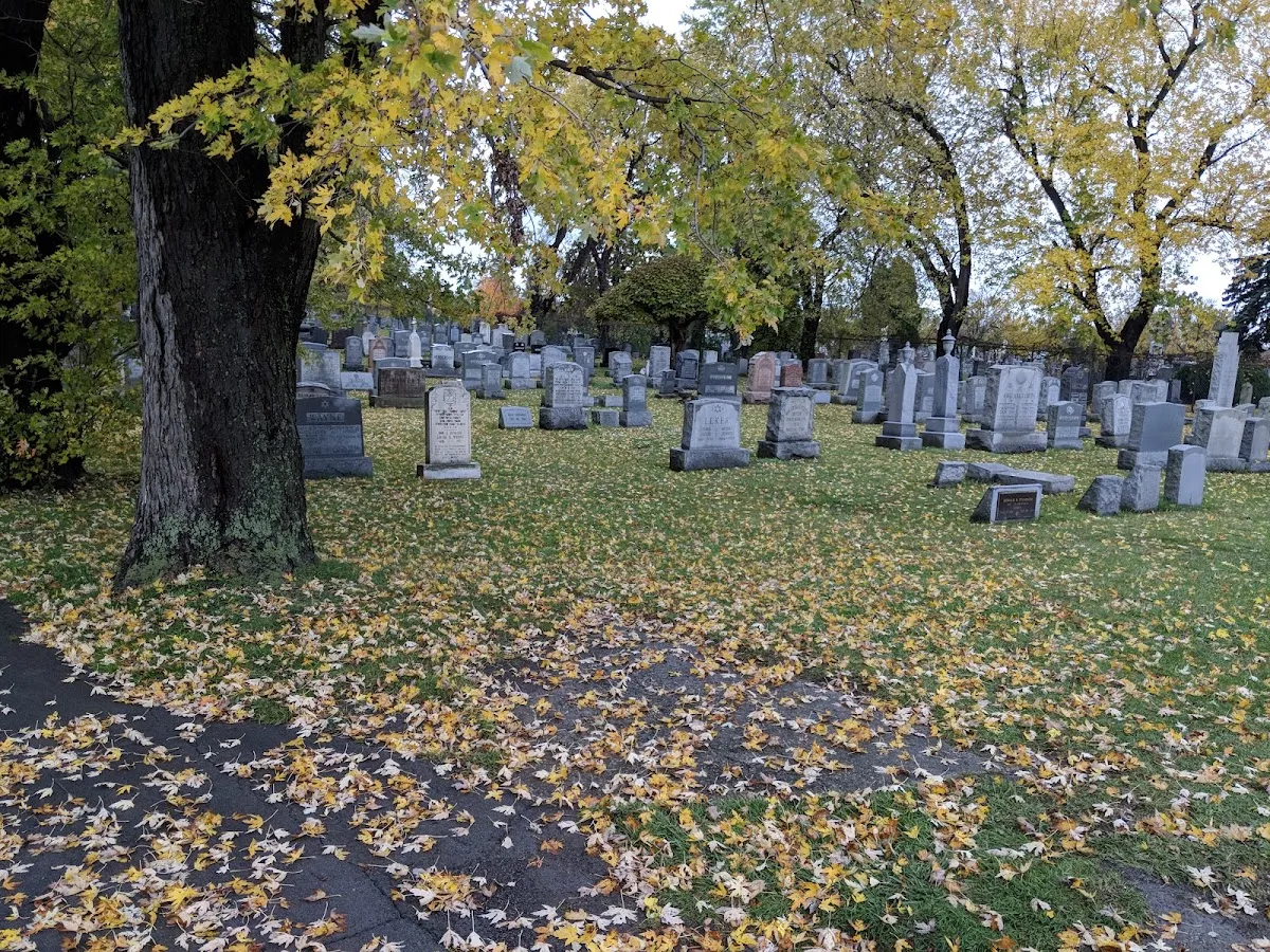 B'Nai Israel Cemetery