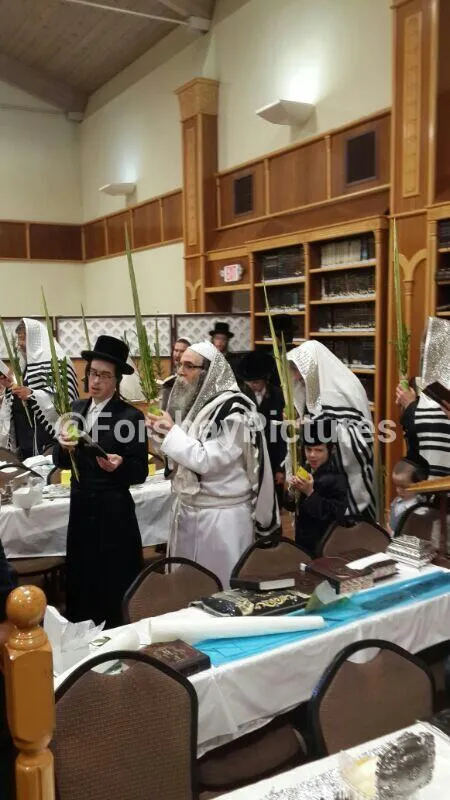 Bais Hamidrash Netzach Yisroel - Forshay Shul — foto 3
