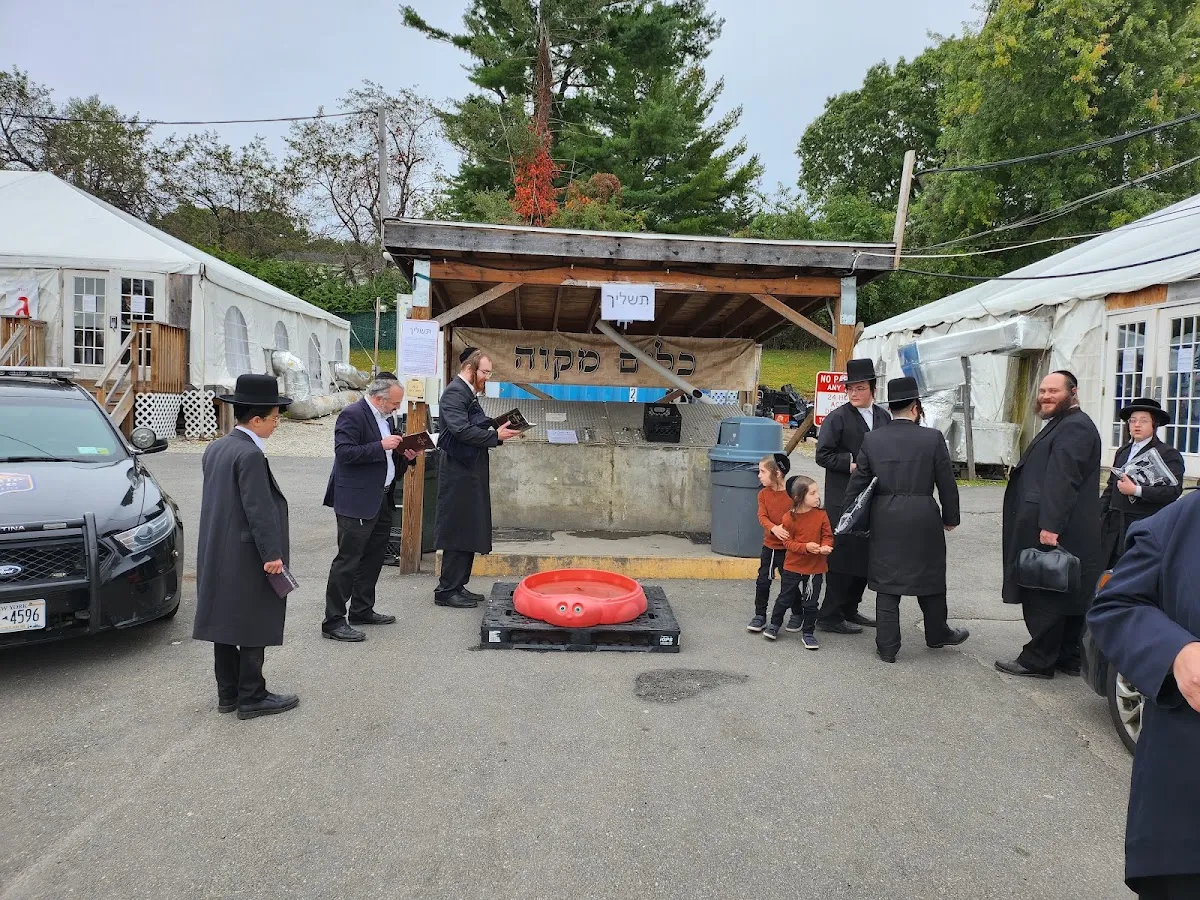 Bais Medrash Ohr Chaim (Scheiner's Shul) — photo 4