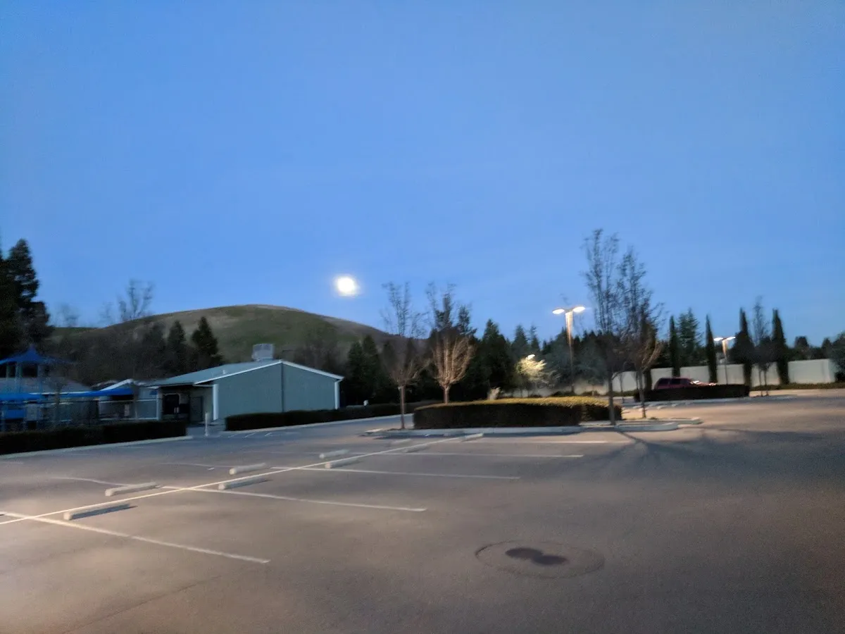 Beth Chaim Congregation — foto 4