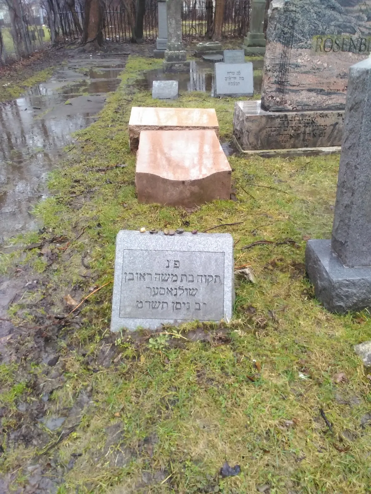 Beth Jacob Cemetery — foto 4