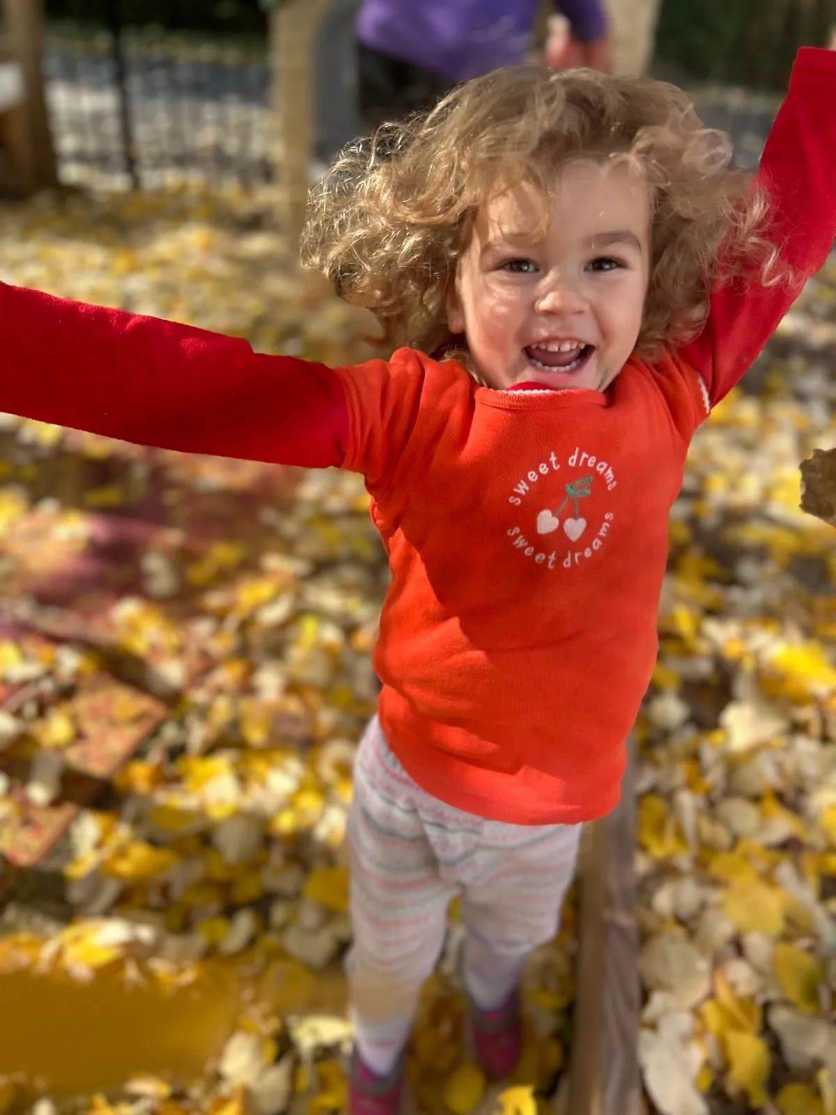 Brookfield Torah Tots Preschool and Daycare