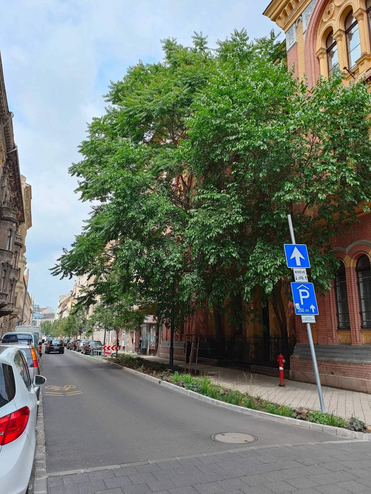 Budapest University of Jewish Studies — photo 6