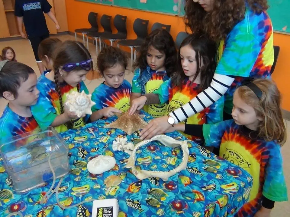 Camp Gan Israel — photo 6