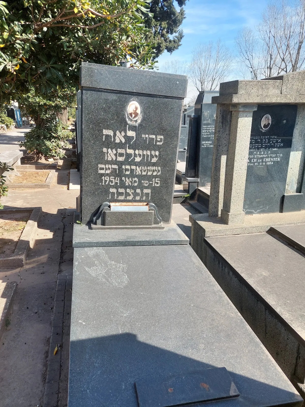 Cementerio Israelita Viejo.