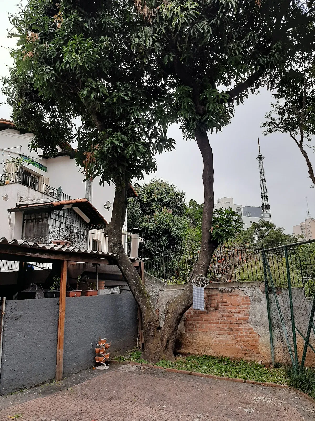 Centro Judaico Novo Horizonte