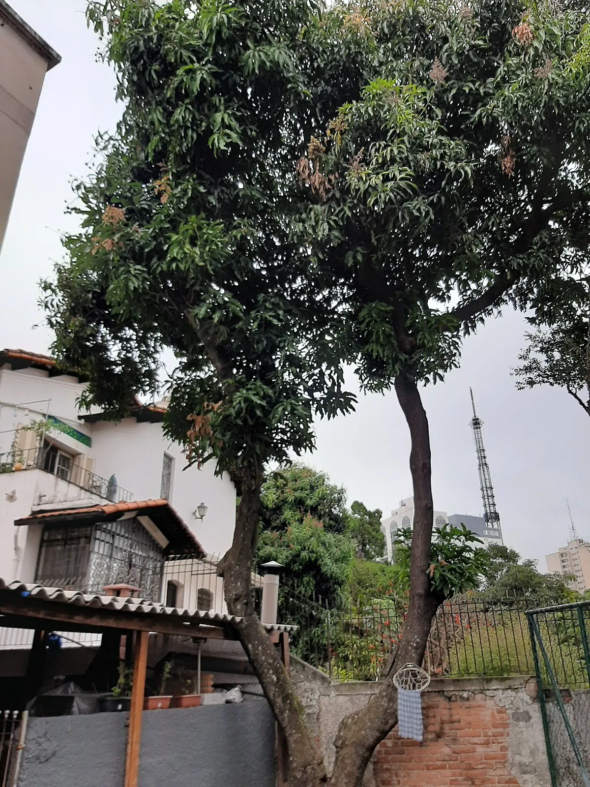 Centro Judaico Novo Horizonte — photo 2
