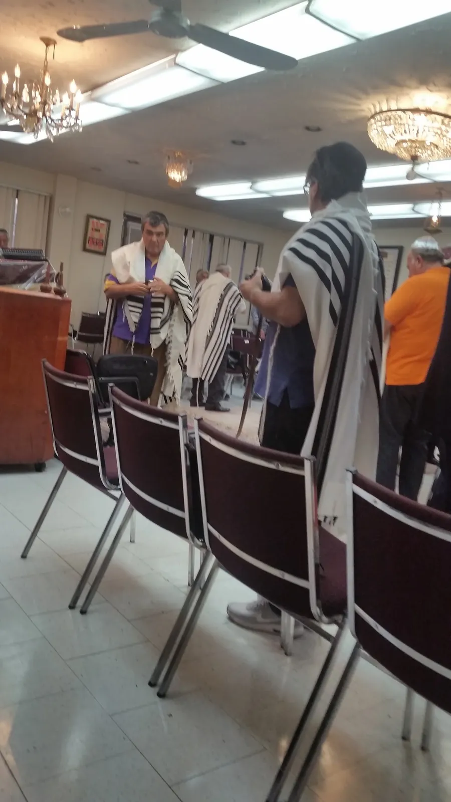 Chabad at McGill — photo 4