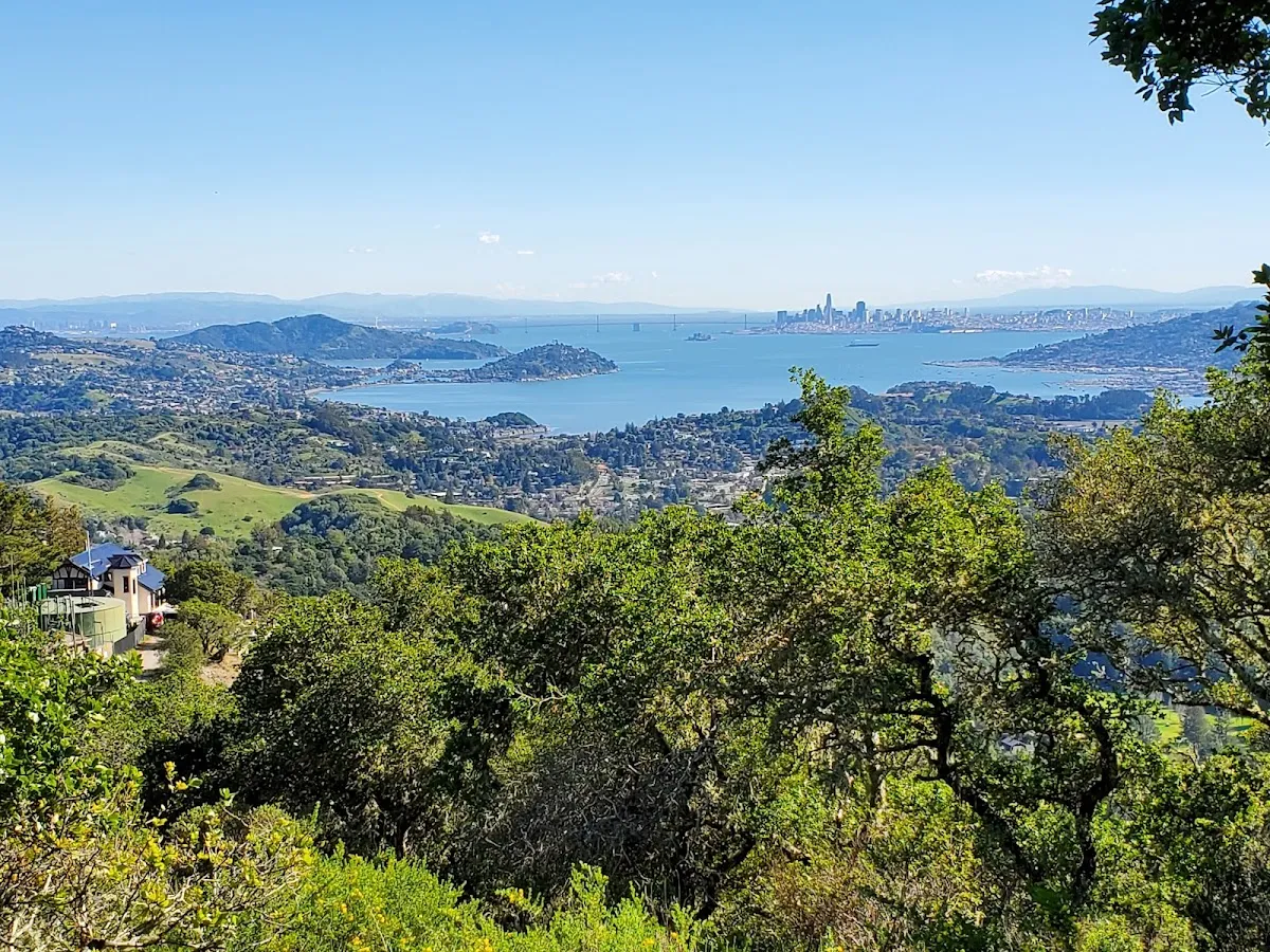 Chabad Jewish Center of Central Marin — foto 3