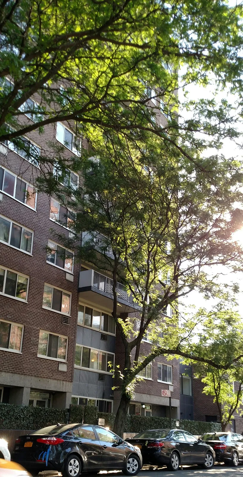 Chabad Lubavitch of the West Side — foto 2