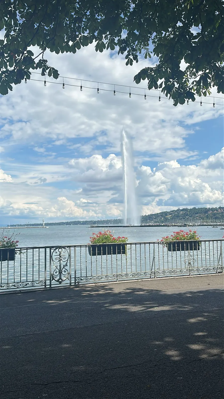 Chabad of Geneva — photo 5