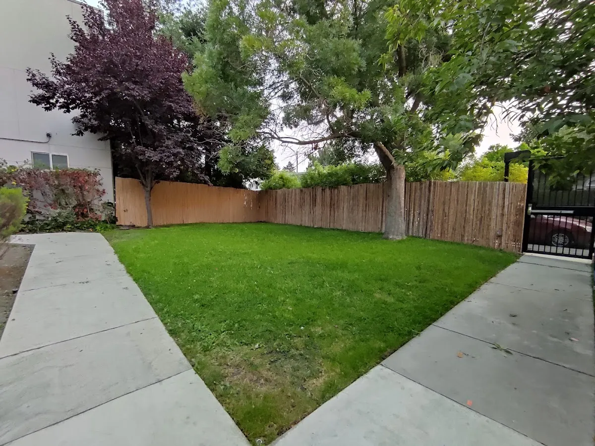 Chabad Palo Alto — photo 4