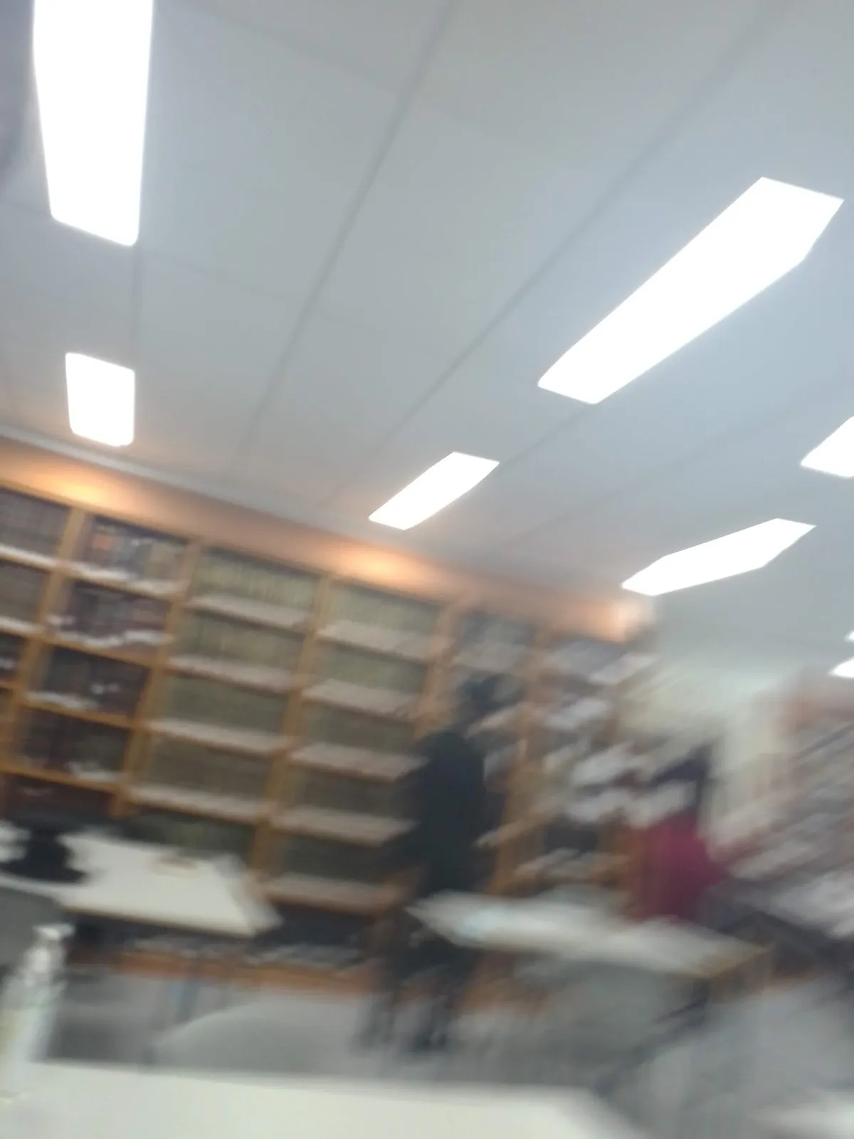 Chabad Youth Tzach on Campus — photo 3