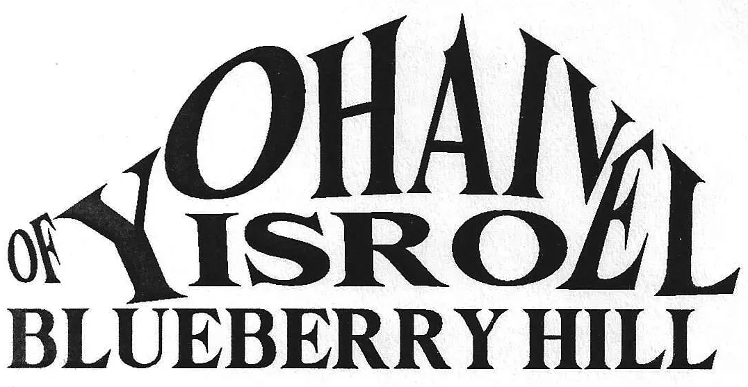 Cong. Ohaiv Yisroel of Blueberry Hill — photo 3