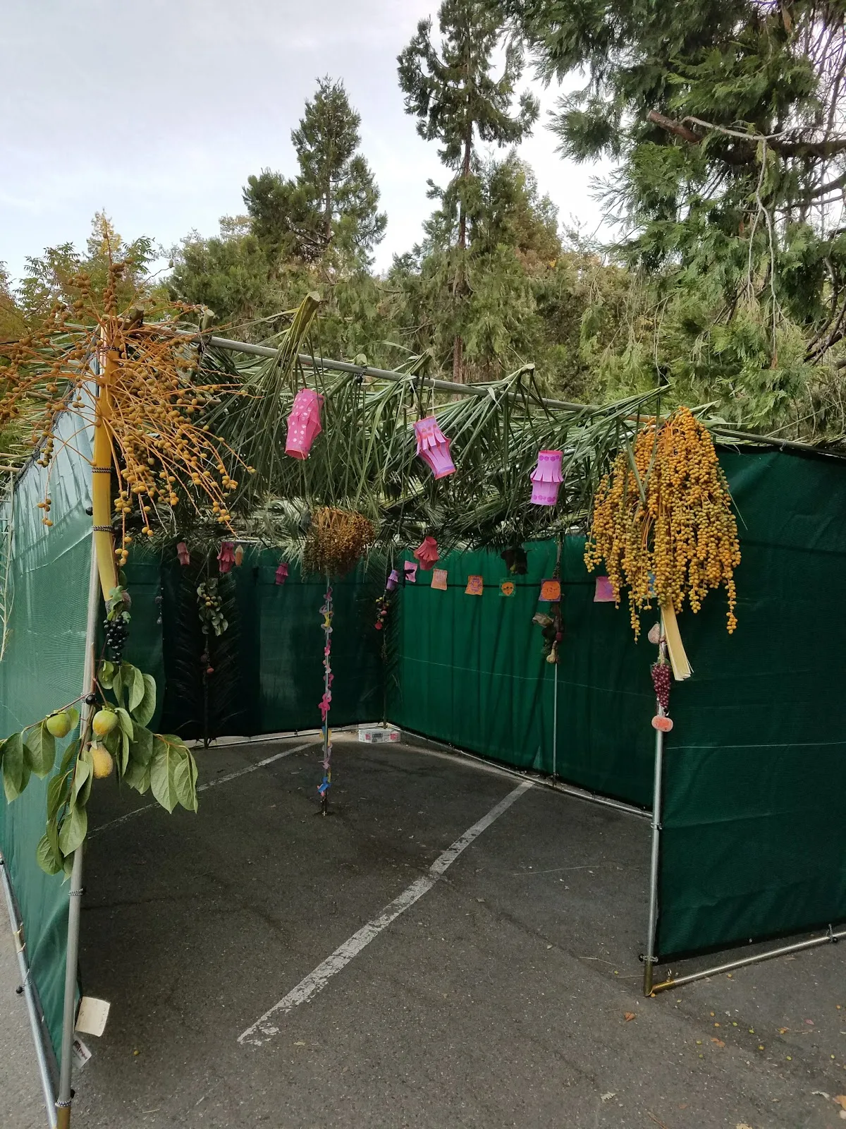 Congregation B'nai Tikvah — foto 5