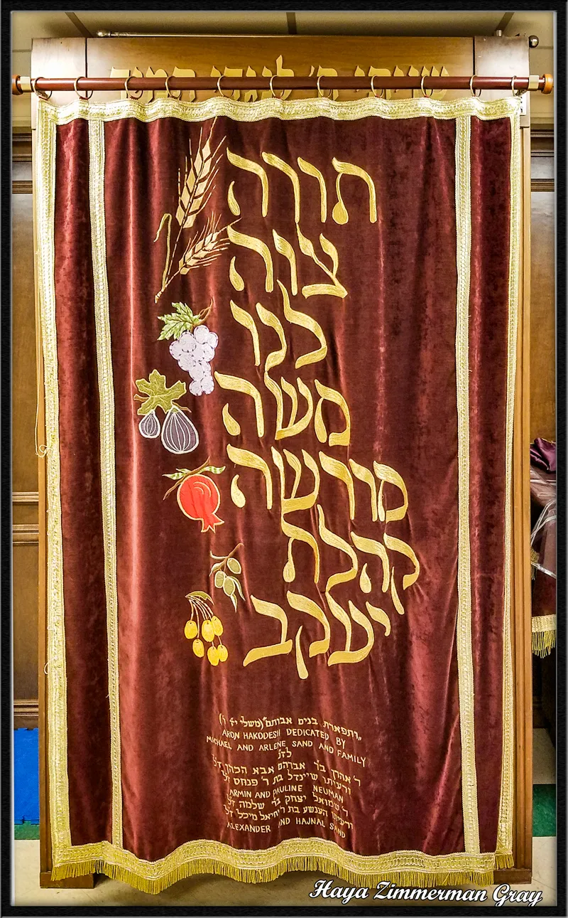 Congregation Beth Aaron — foto 6