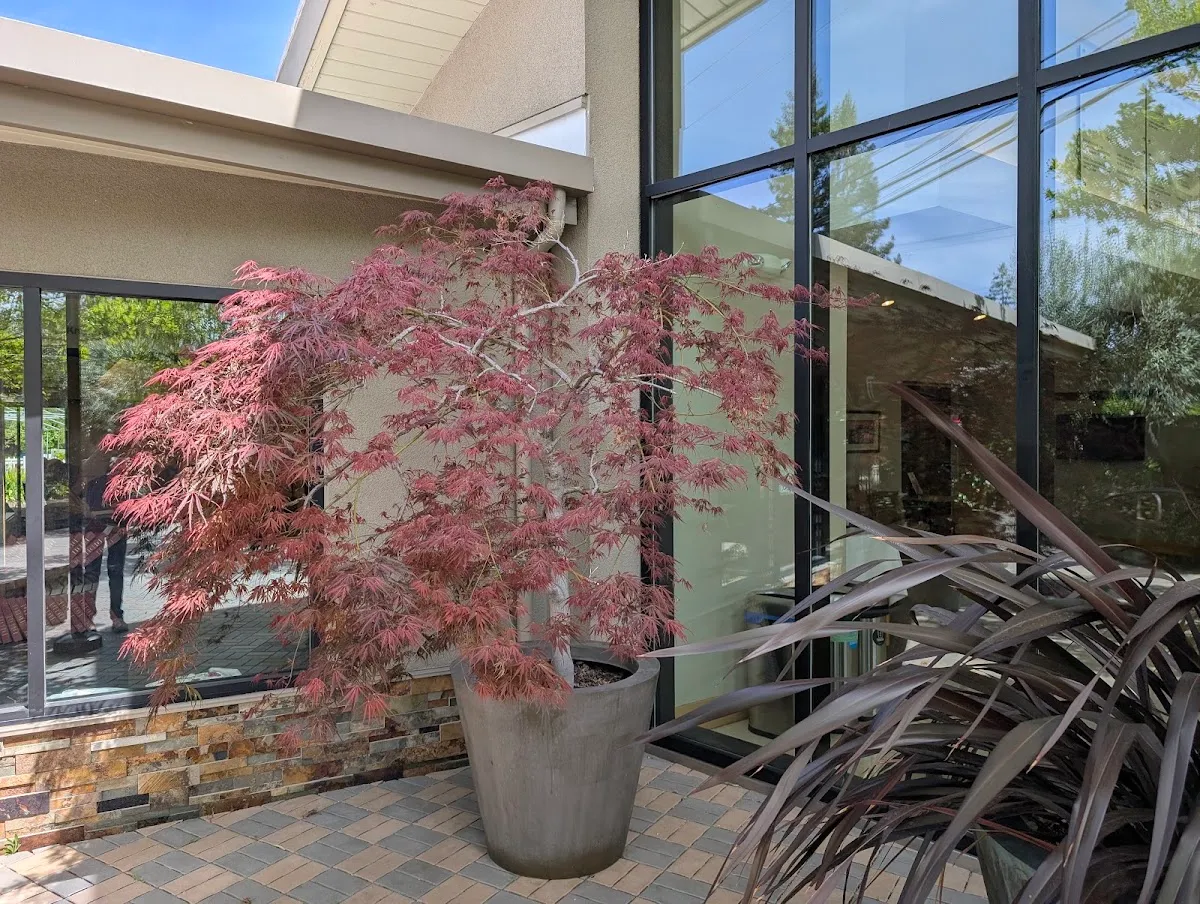 Congregation Beth Jacob — photo 5