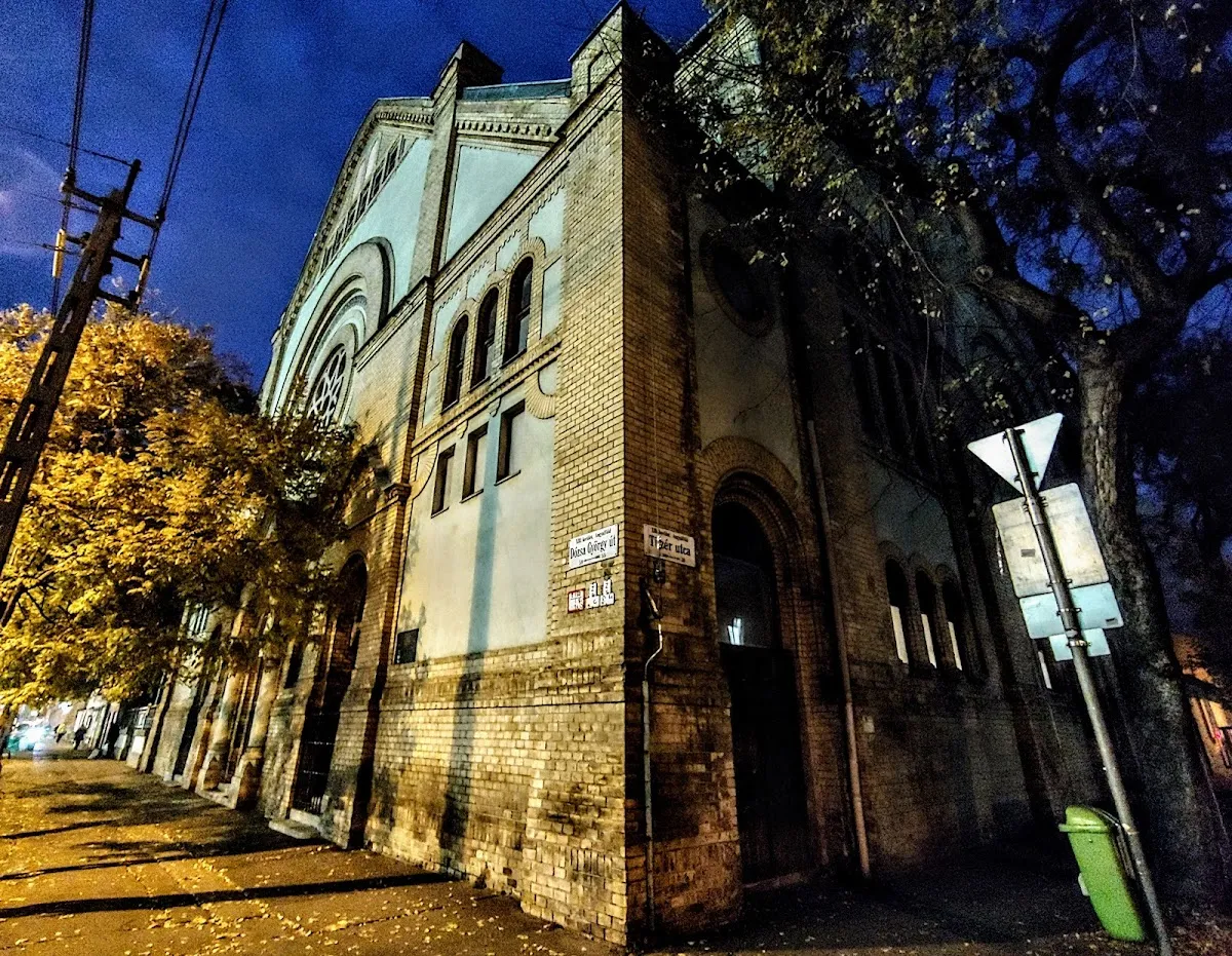 Dozsa Gyorgy street synagogue — foto 6