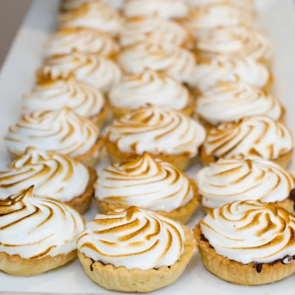 Eshel Fine Kosher Catering — photo 3