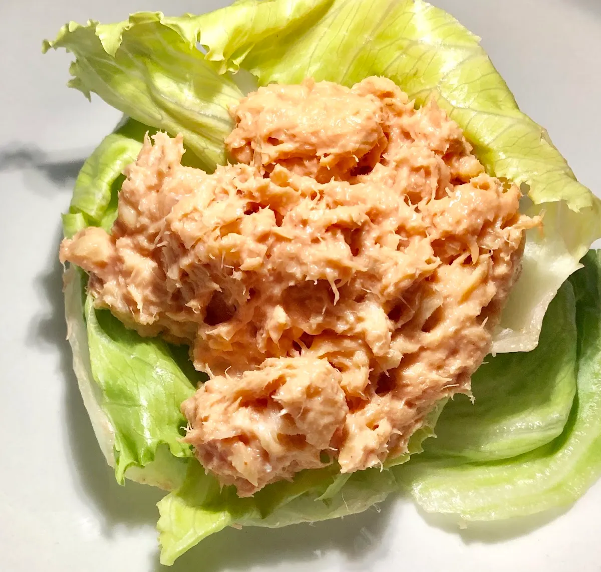 Feigels Kosher Delicatessen BluBird — photo 4