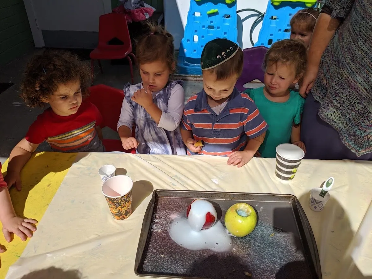 Gan Torah Preschool — foto 5