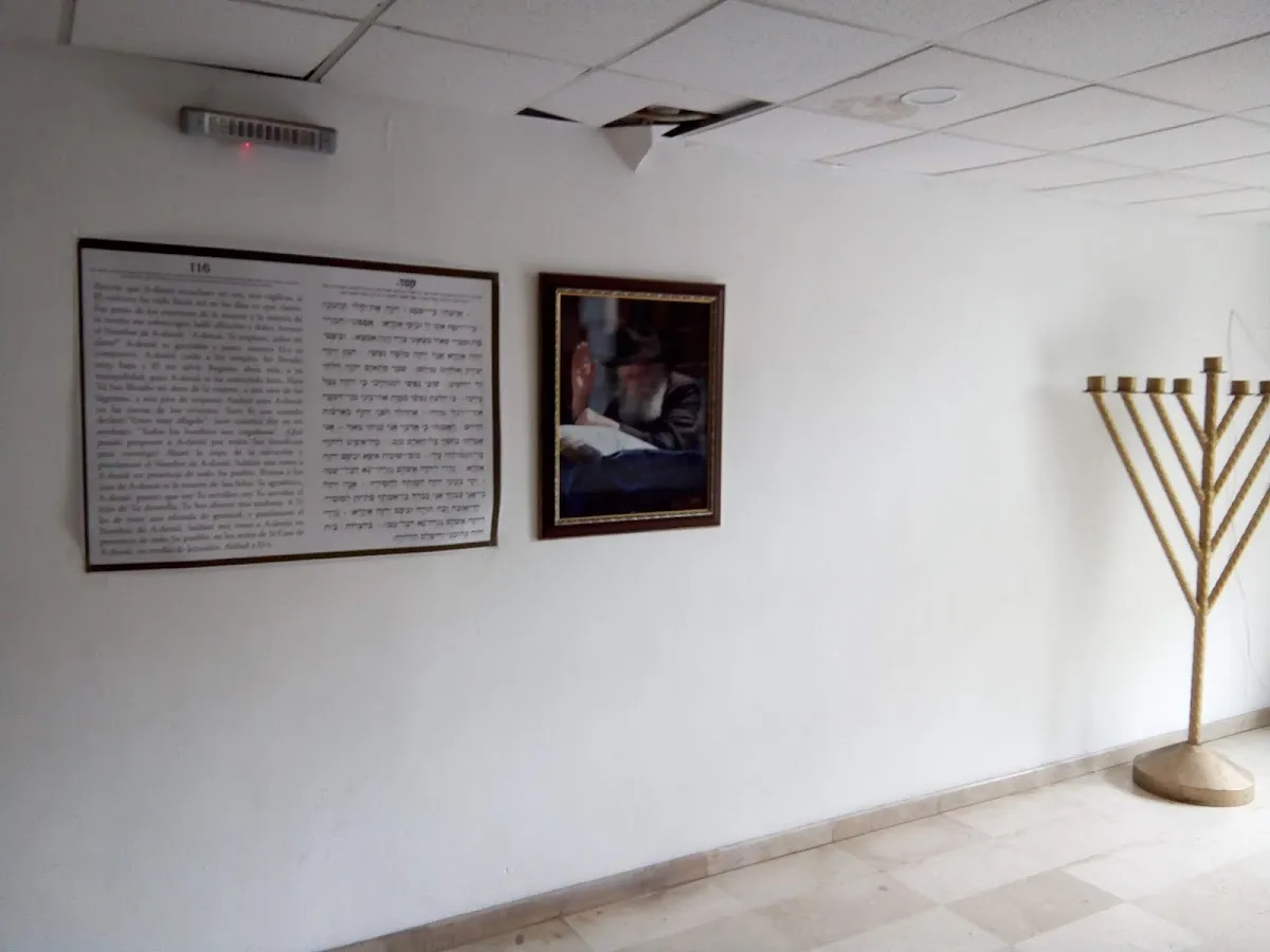 Jabad México - Chabad Lubavitch Mexico City — foto 2