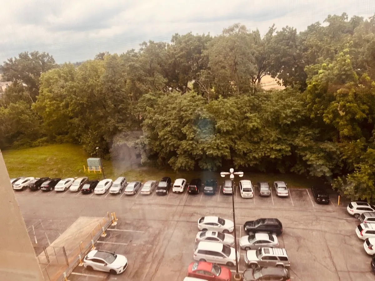 Jewish Community Center — photo 4