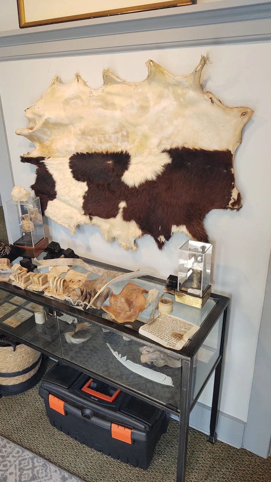 Jewish Discovery Center — foto 6
