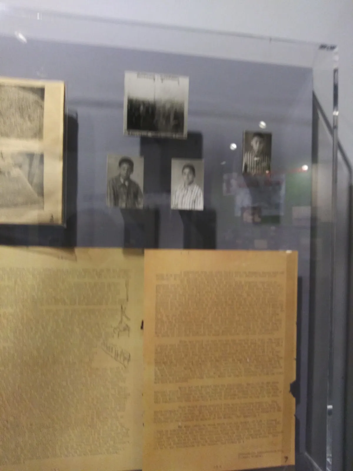 Jewish Federation of St Louis — foto 5