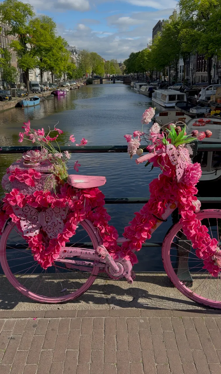 Jewish Heritage Tours Amsterdam — photo 4