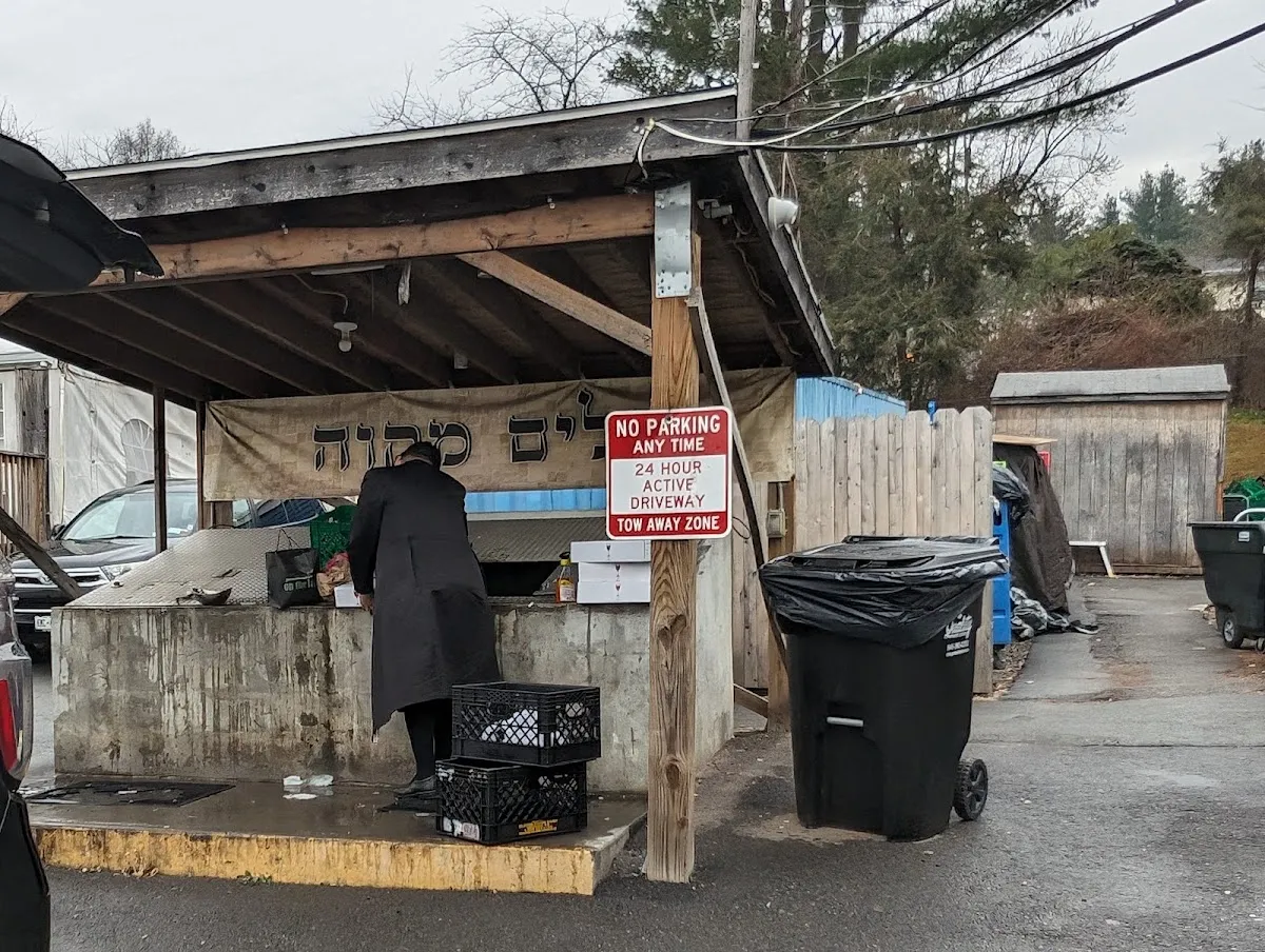 Keilim Mikvah at Scheiner's Shul — photo 5