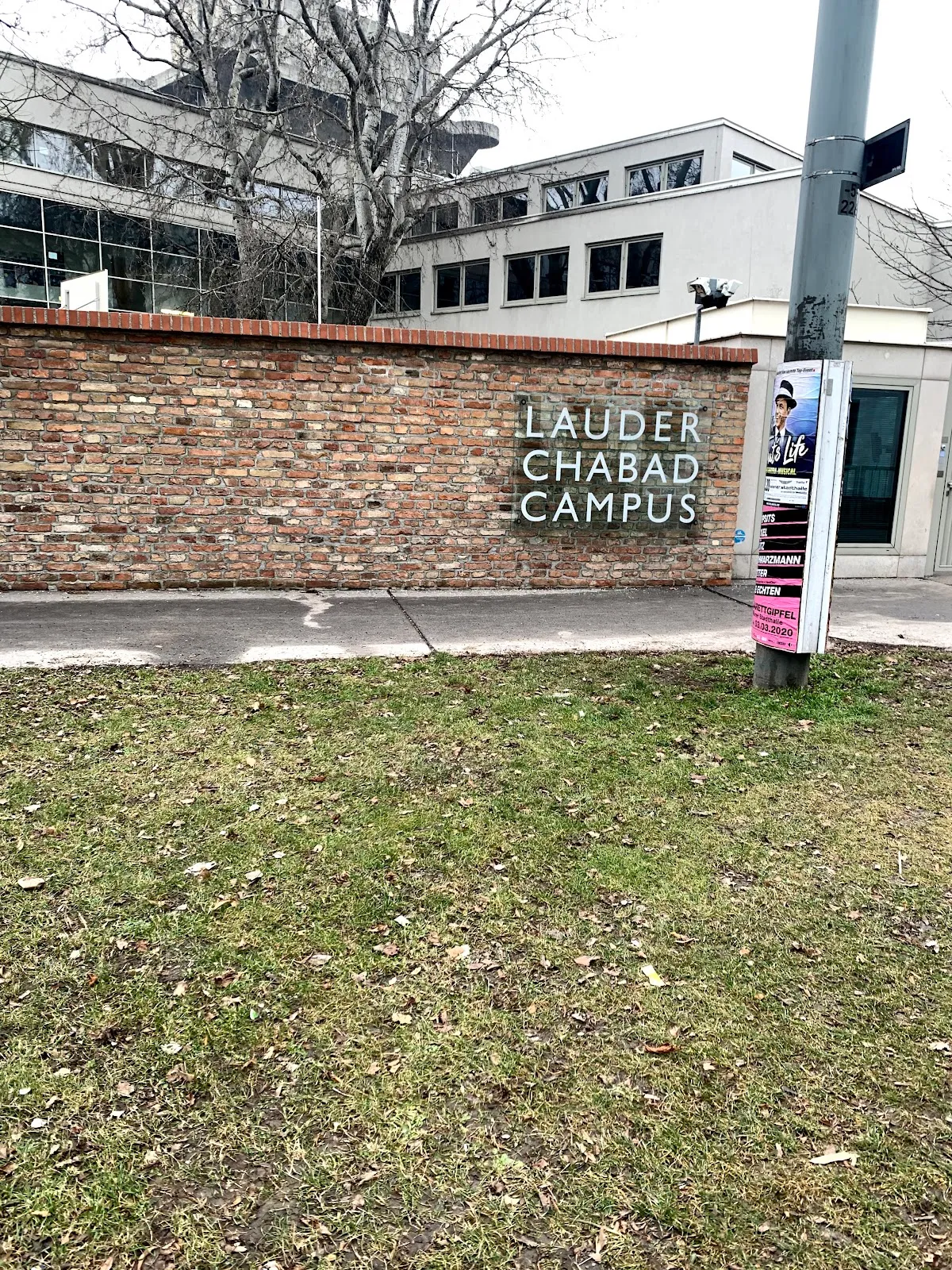 Lauder Chabad Campus — foto 4