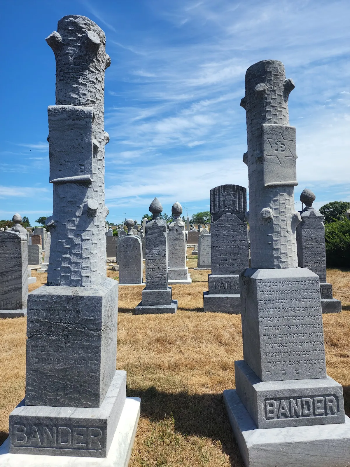 Lincoln Park Cemetery — foto 4
