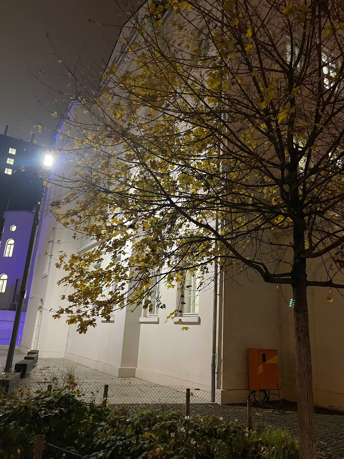 Literaturhandlung im Jüdischen Museum — photo 5