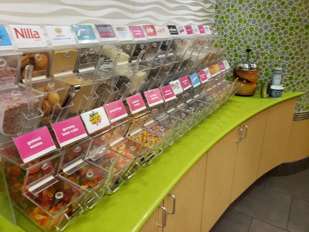 Menchie's Frozen Yogurt — photo 6