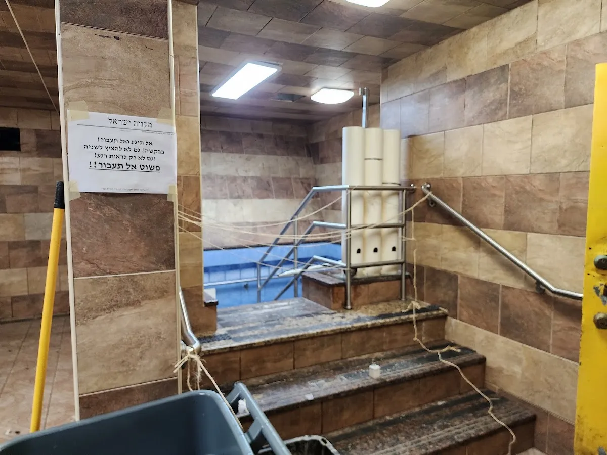 Mikvah Israel — photo 3