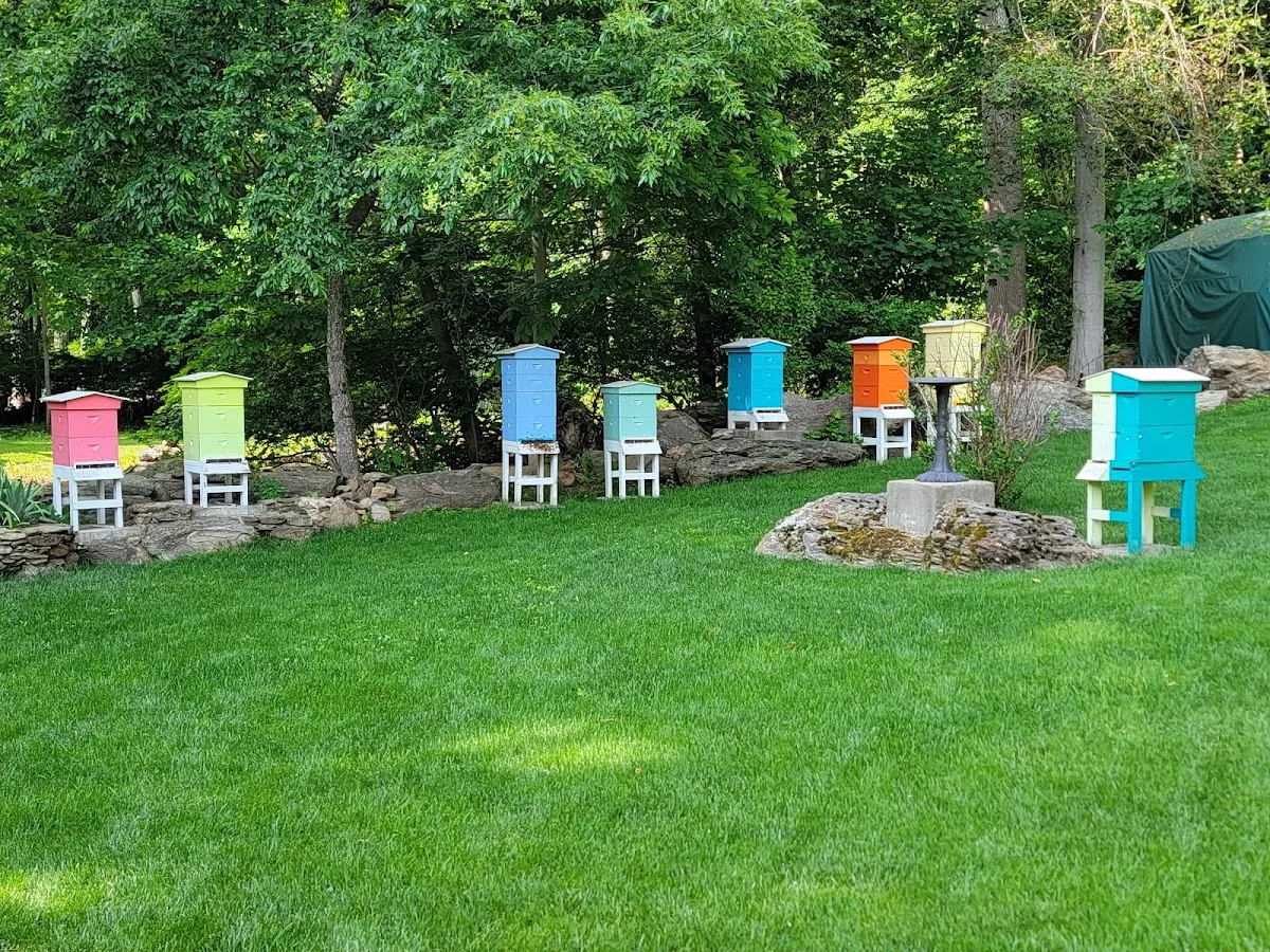 Monkey's Pocket Apiary — photo 3