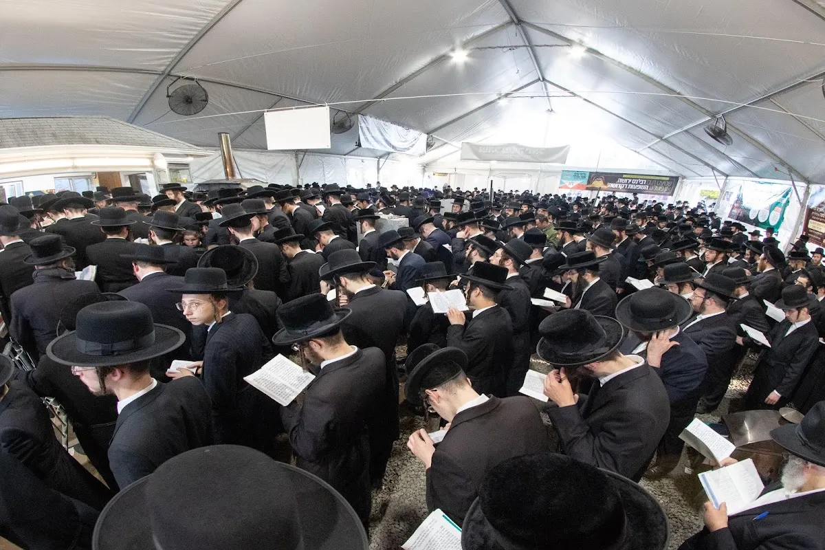 Ribnitz Tziun - Ohel Haadmor M'Ribnitz — photo 5