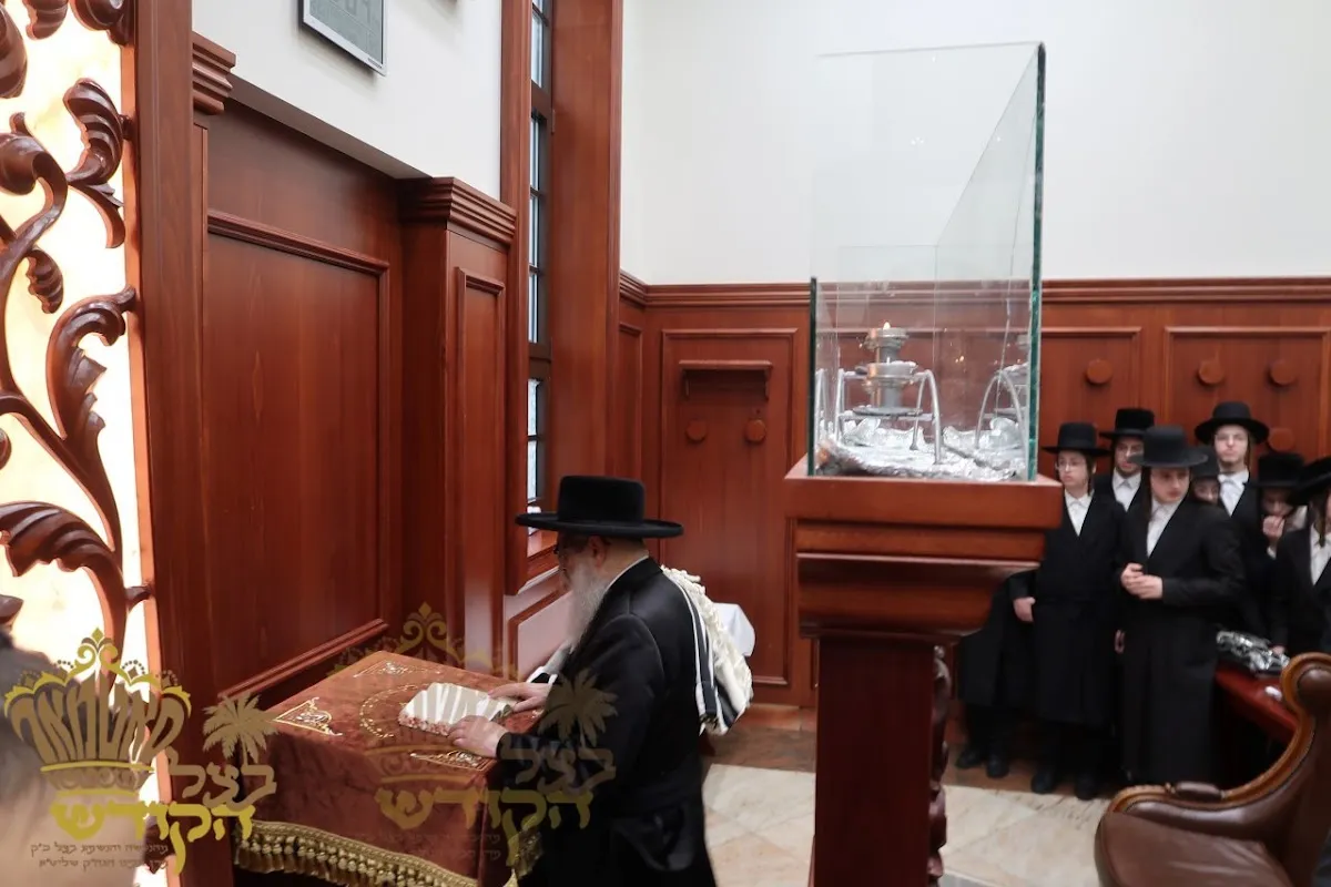 Satmar Main Shul — photo 3