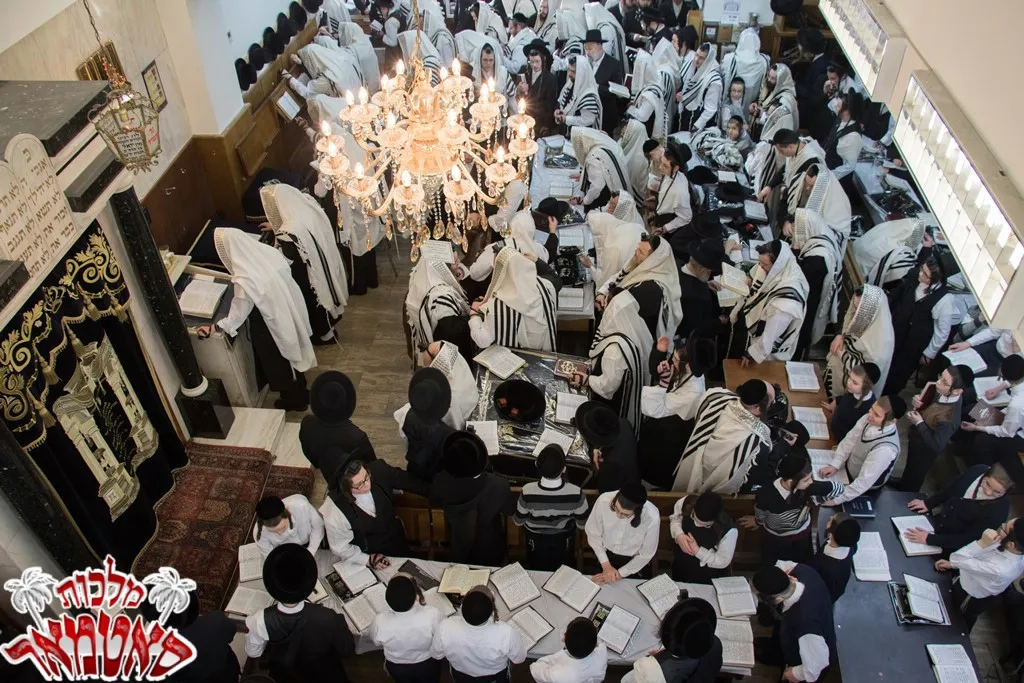 Satmar🕍 — foto 2