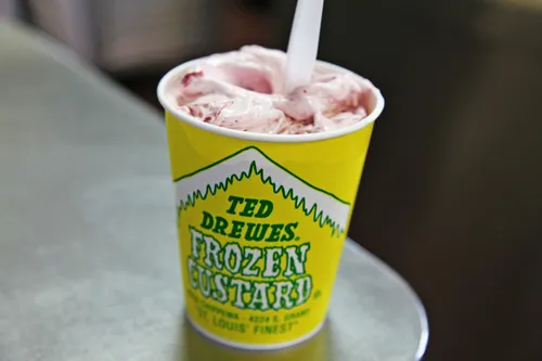 Ted Drewes Frozen Custard — photo 2