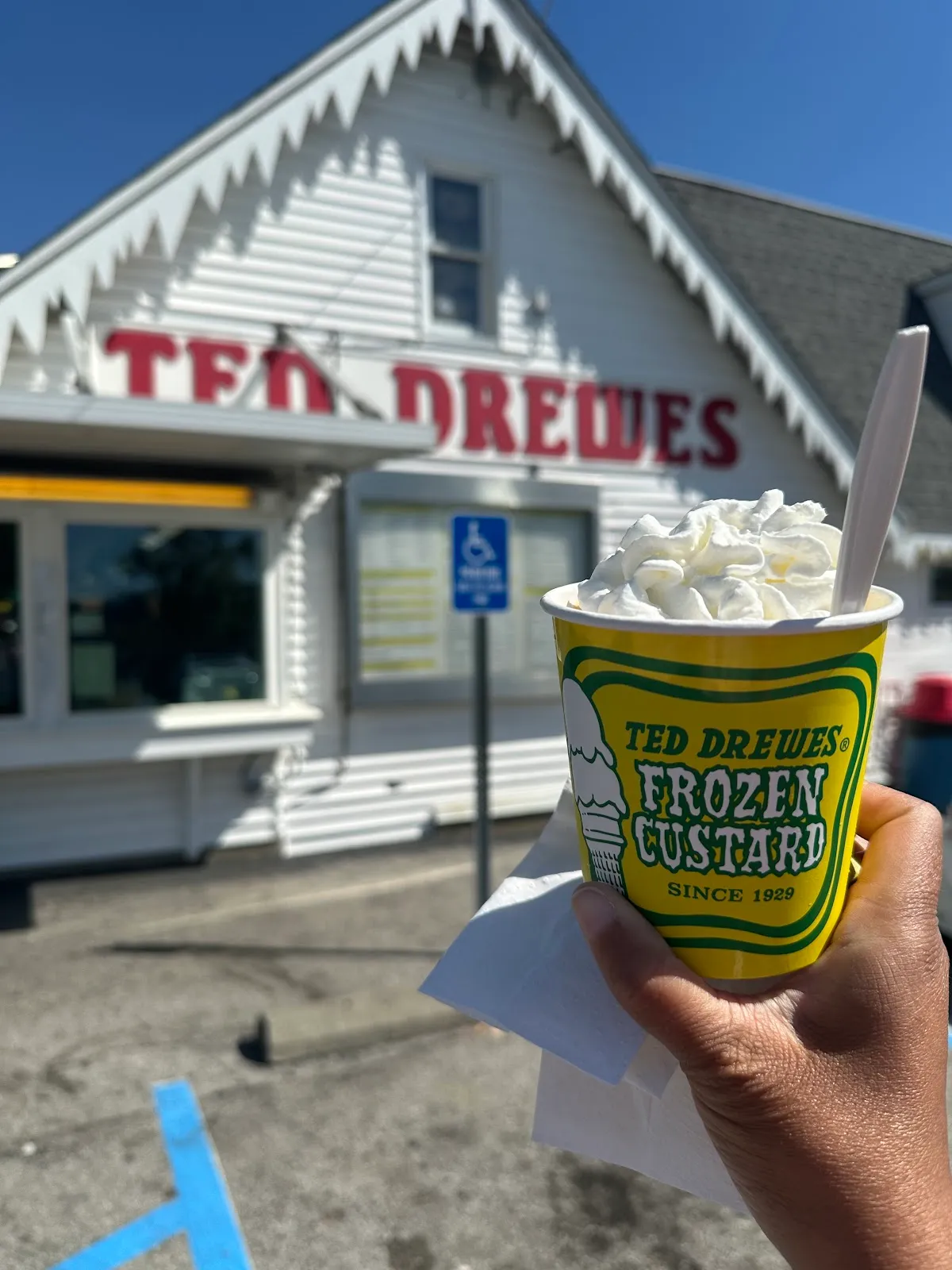 Ted Drewes Frozen Custard — photo 4