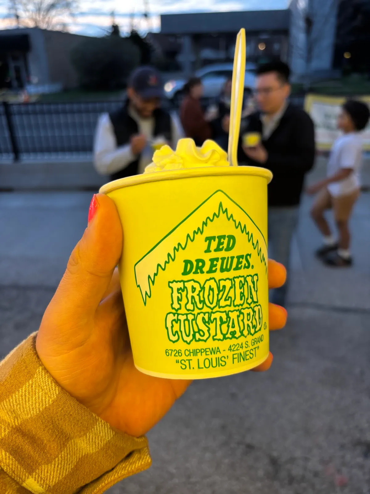 Ted Drewes Frozen Custard — photo 6