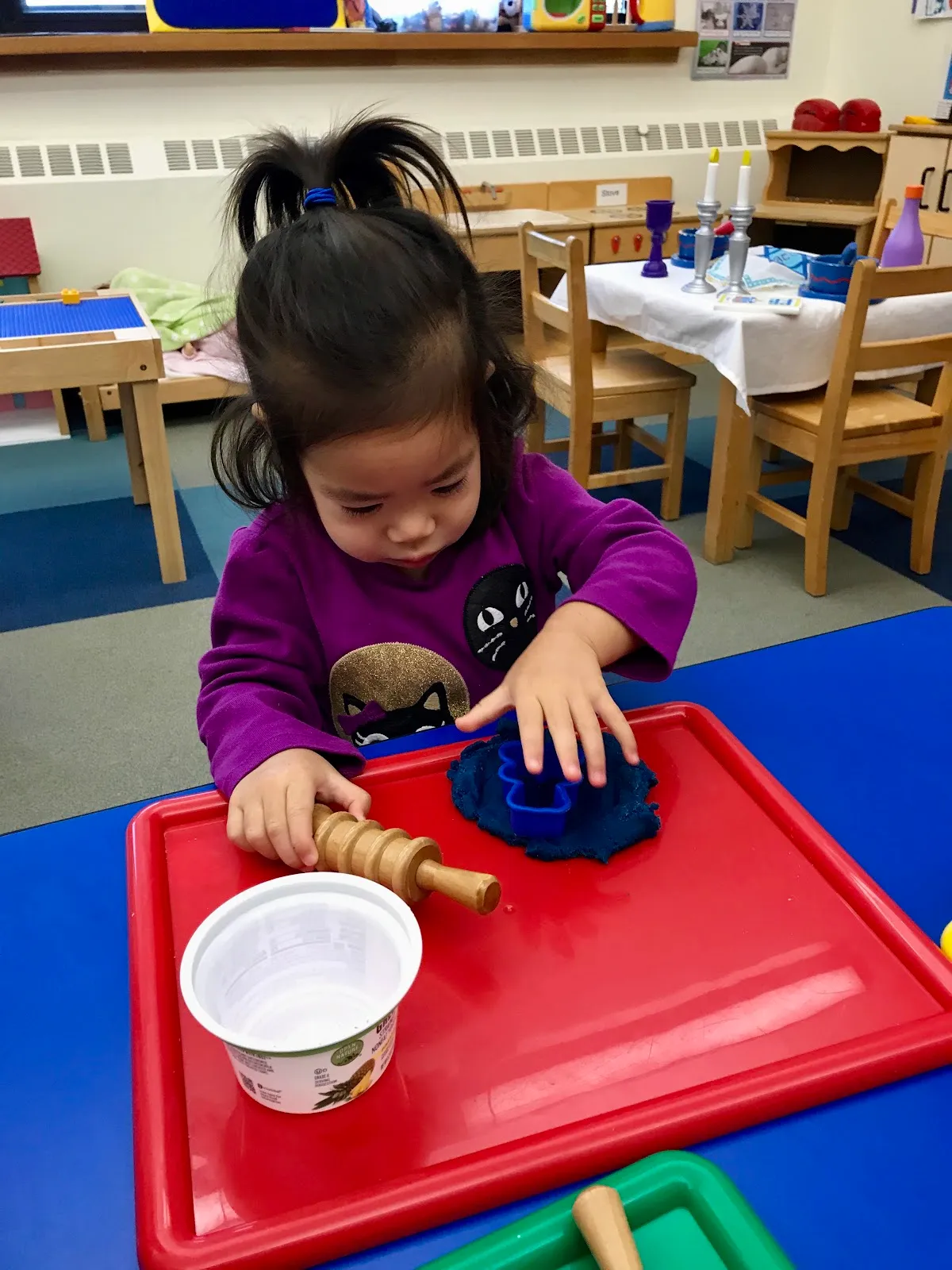 Temple Sholom Selma Maisel Nursery School — photo 2
