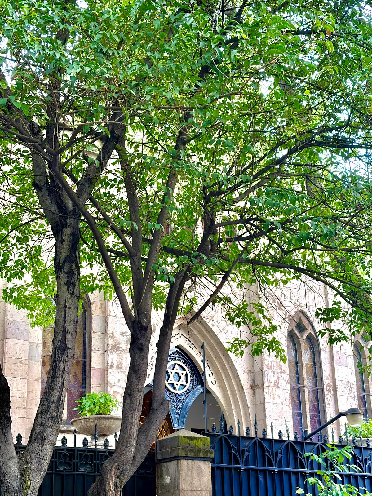 Templo Judío Yehuda Levy — foto 2