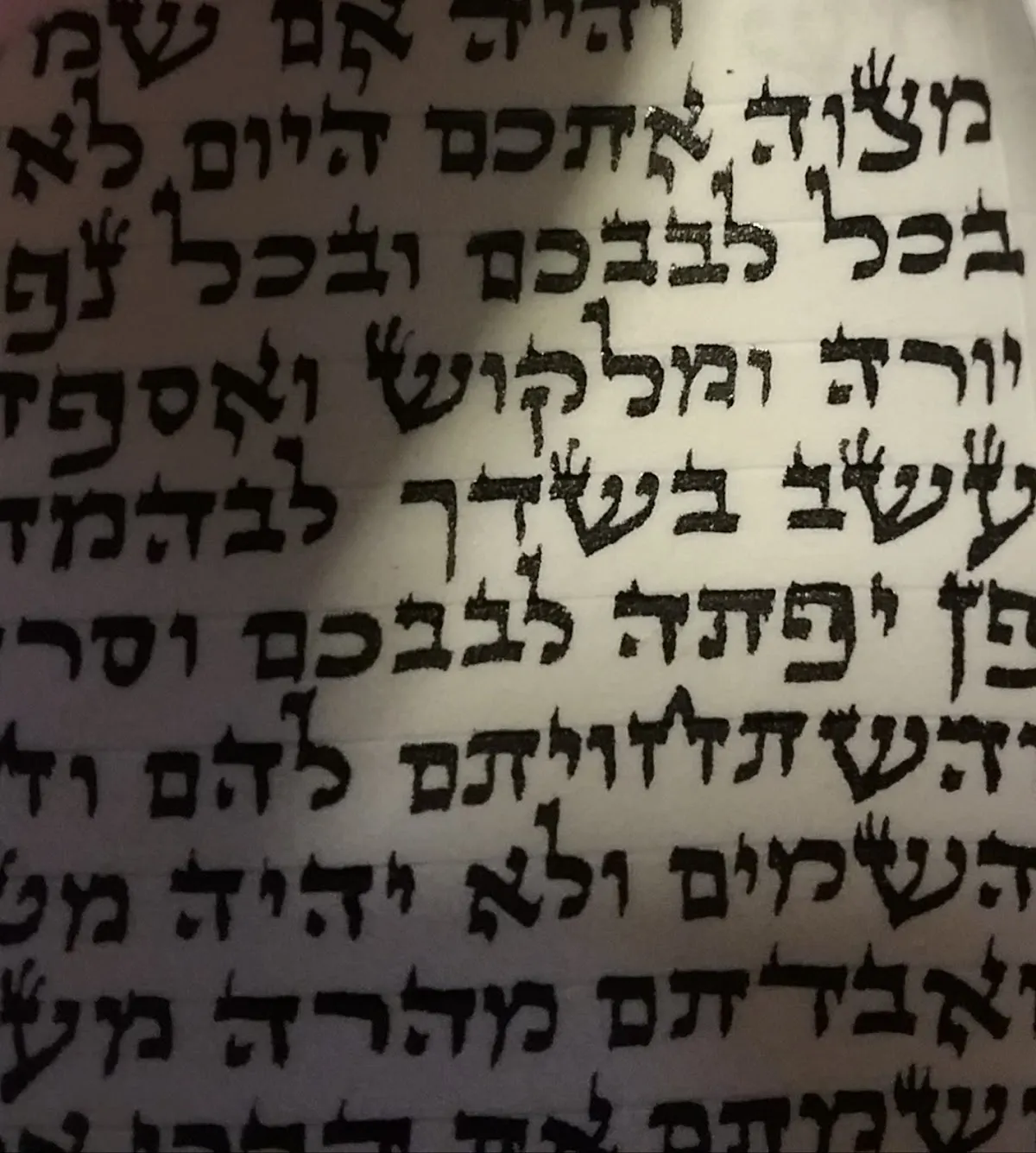 Torah Treasures of Monsey — photo 6